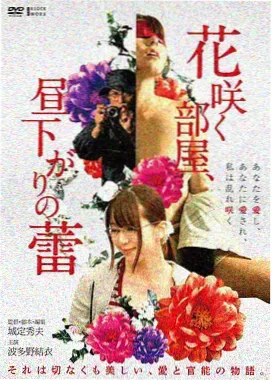 朴赞郁导演工作照